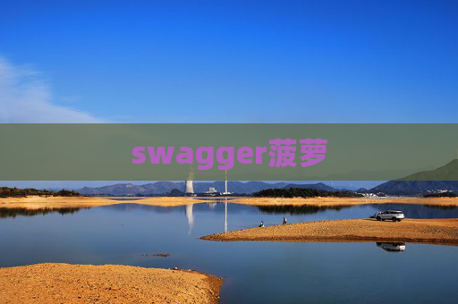 swagger菠萝